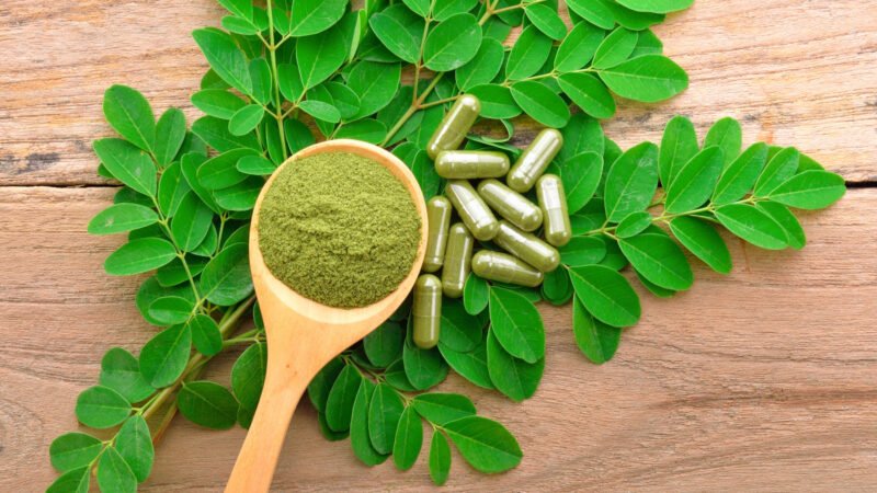 15 Benefícios da Moringa Planta Le Marais Bistrot